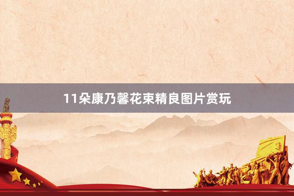 11朵康乃馨花束精良图片赏玩