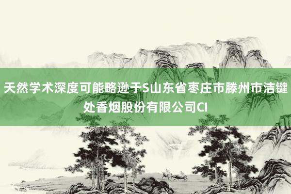 天然学术深度可能略逊于S山东省枣庄市滕州市洁键处香烟股份有限公司CI